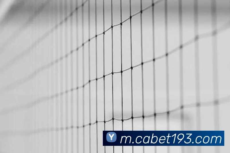 奖项2
